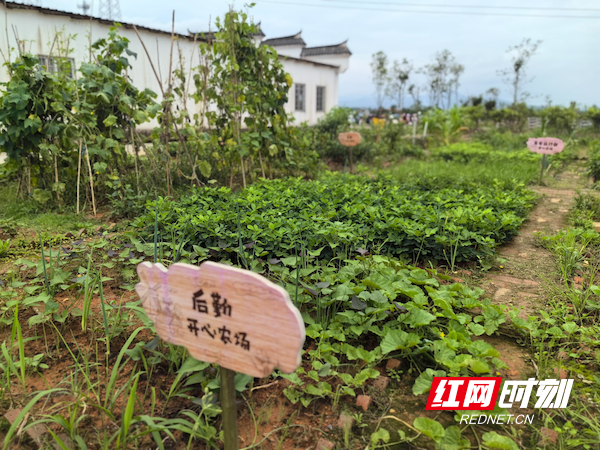 图为各部门认领农场地的挂牌.png