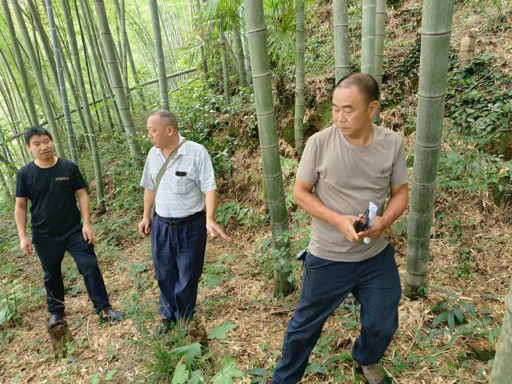 炮团乡：中高风险地质灾害研判.jpg