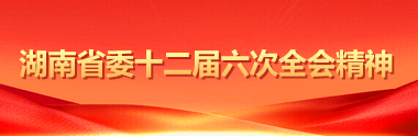 中共湖南省委十二届六次全会在长沙召开