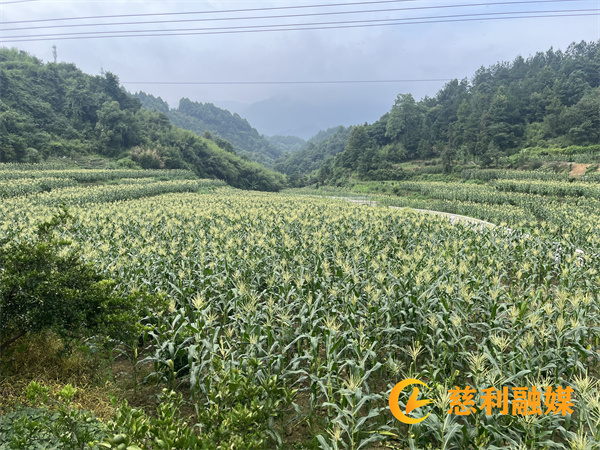 微信图片_20240712095741_副本.jpg
