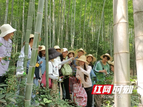 图片3 (1).png
