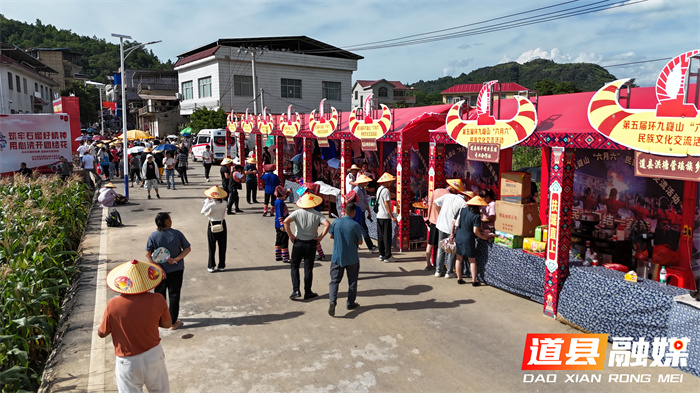 第五届环九嶷山“六月六”民族文化交流活动在道县洪塘营瑶族乡举办4_副本.jpg