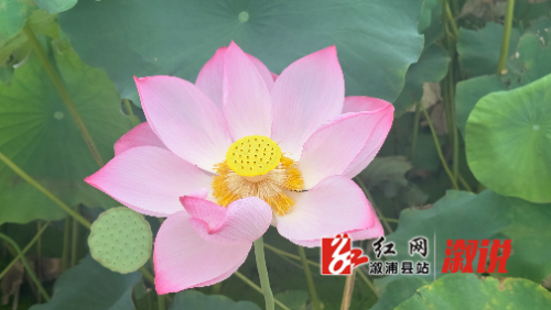 微信图片_20240712184524.jpg