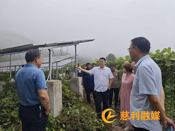 图片1_副本1.png