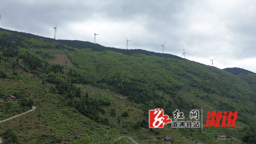 DJI_0329.MP4_snapshot_00.07_[2024.07.17_09.14.06].jpg