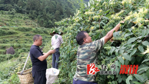 微信图片_20240717092656.jpg