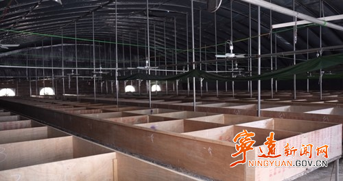 宁远：“庭院+”让方寸地成“致富园”_副本500.jpg