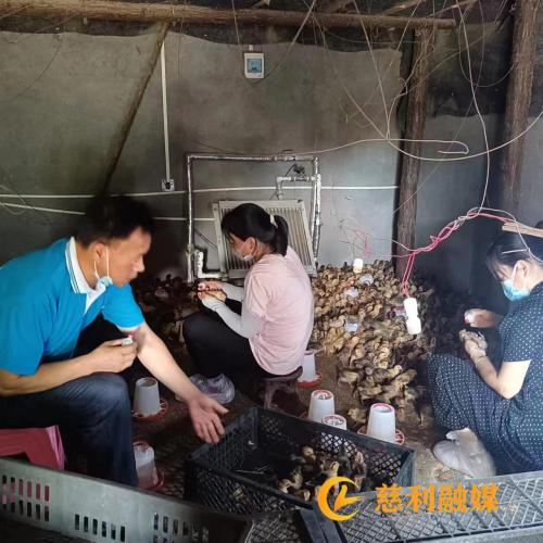 微信图片_20240716200913 (1).jpg