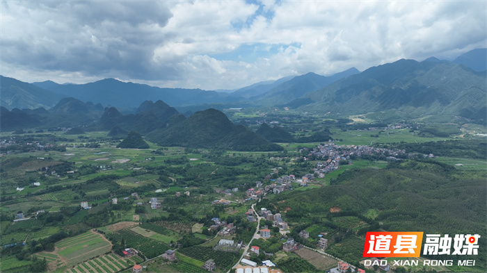 道县：黑皮鸡枞菌破土成“金” 特色种植引领致富新路径7_副本.jpg