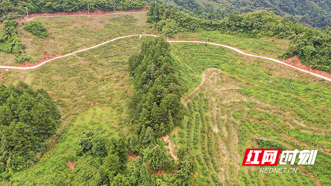 沅陵“果兴高山水里基地“一角。邓浩然 摄影.jpg