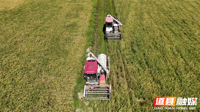 0720道县:小田并大田 高标田里新“丰”景05_副本2.jpg 0720道县:小田并大田 高标田里新“丰”景05_副本2.jpg
