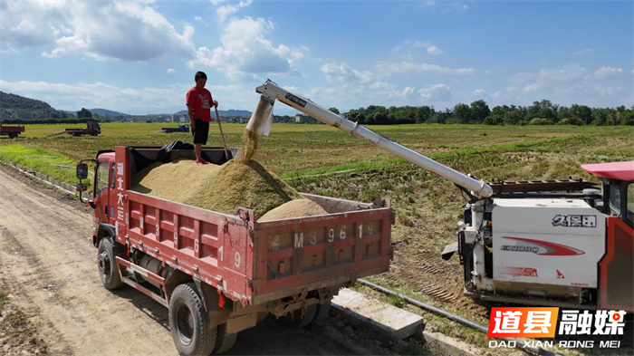 0720道县:小田并大田 高标田里新“丰”景03_副本2.jpg 0720道县:小田并大田 高标田里新“丰”景03_副本2.jpg