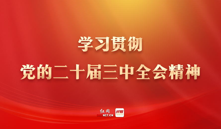 专题丨学习贯彻党的二十届三中全会精神