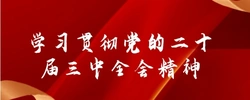 学习贯彻党的二十届三中全会精神