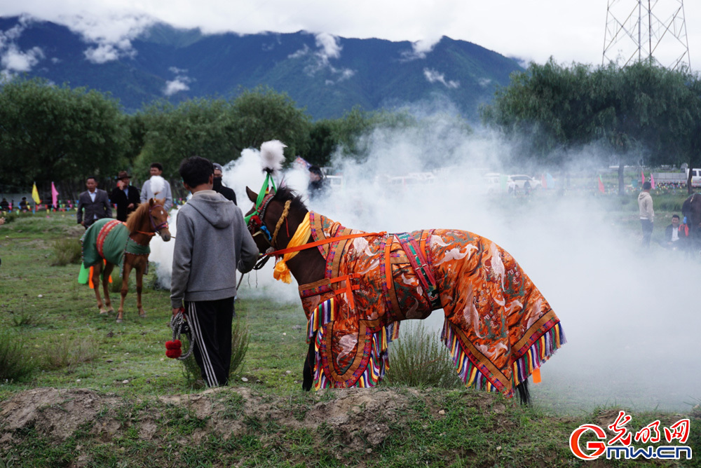 Folk horse racing festival held in Nyingchi celebrating culture, tradition of Xizang