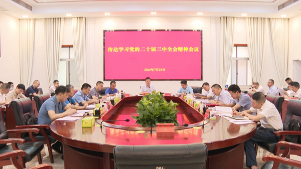 县委常委会召开会议传达学习党的二十届三中全会精神 王先波主持并讲话