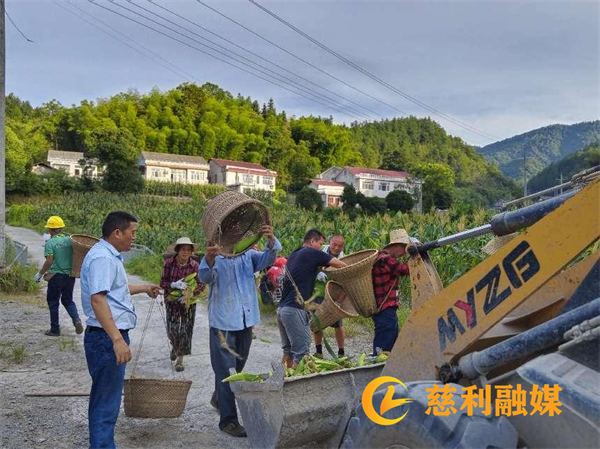 图片1(25).png