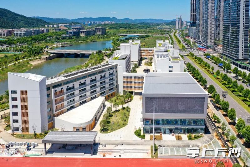 湖南师大附中梧桐实验学校的美丽校园。均为长沙晚报通讯员 胡翔 摄