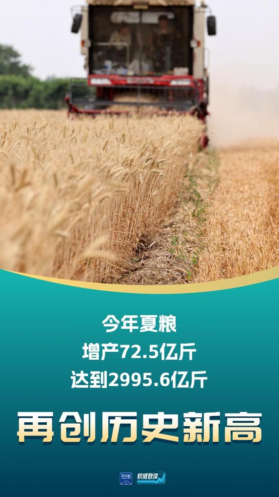权威数读丨2995.6亿斤 夏粮产量再创历史新高