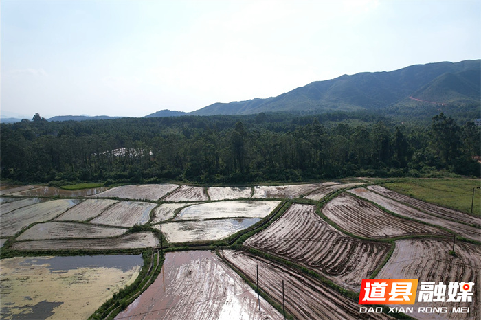 道县四马桥镇:未雨绸缪战高温,“陆空”巡逻防林火1_副本.jpg 道县四马桥镇:未雨绸缪战高温,“陆空”巡逻防林火1_副本.jpg