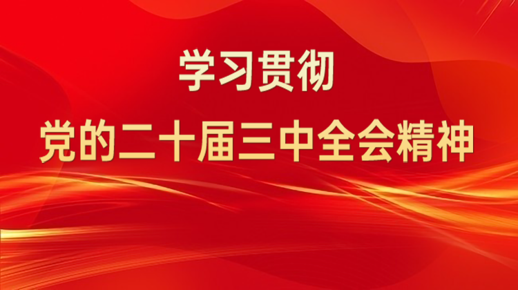 学习贯彻党的二十届三中全会精神