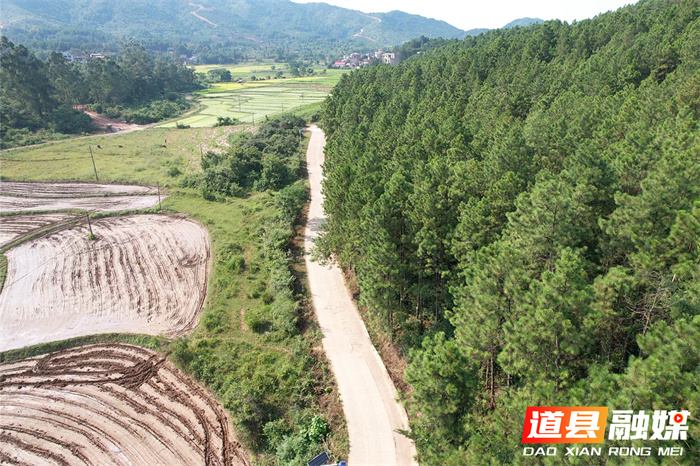 道县四马桥镇:未雨绸缪战高温,“陆空”巡逻防林火3_副本.jpg 道县四马桥镇:未雨绸缪战高温,“陆空”巡逻防林火3_副本.jpg