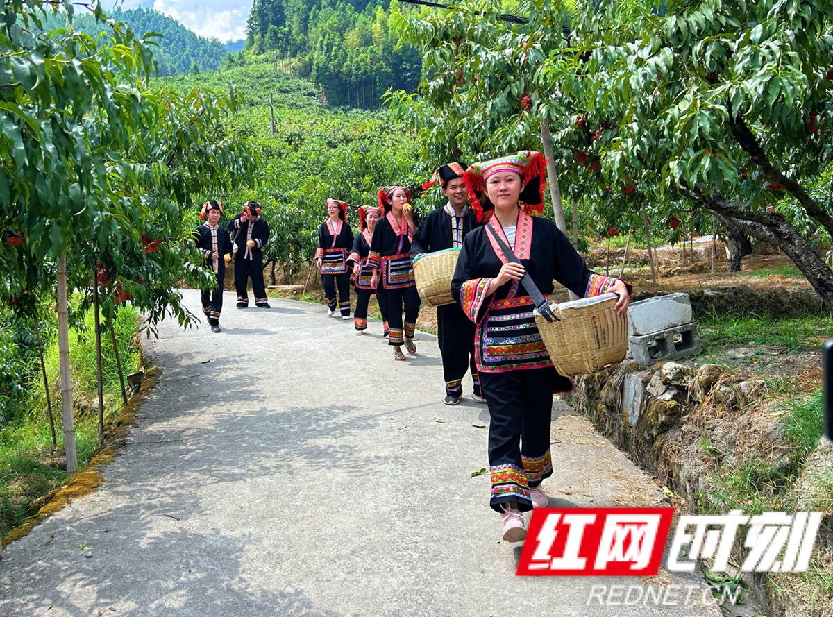 盛暑时节，群山之间。一条条山路，