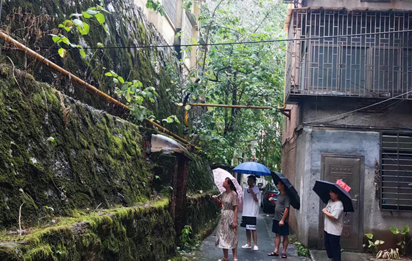 图片5.png 图片5.png