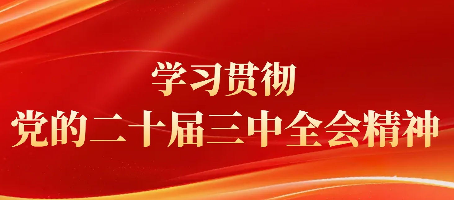 专题丨学习贯彻党的二十届三中全会精神