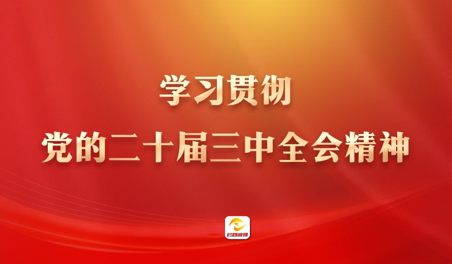 专题|学习贯彻党的二十届三中全会精神