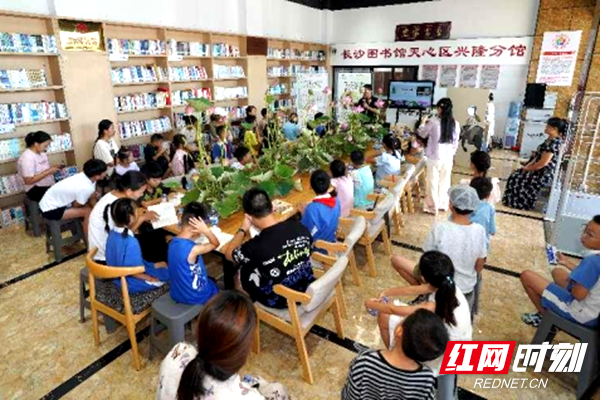 阅读分享会与童年碰撞，助力乡村孩子的成长路-大托铺208.png