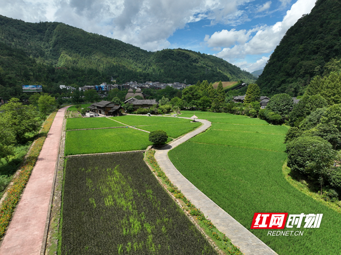 DJI_0021_副本2.jpg