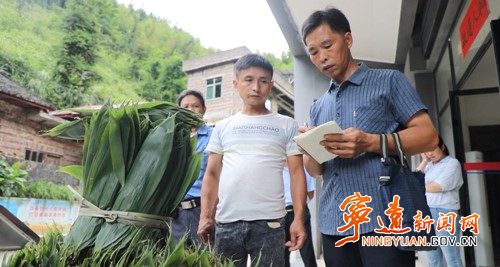 宁远：一片粽叶带富一方百姓_副本500.jpg