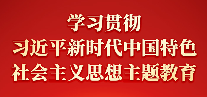 學(xué)習(xí)貫徹習(xí)近平新時(shí)代中國(guó)特色社會(huì)主義思想主題教育