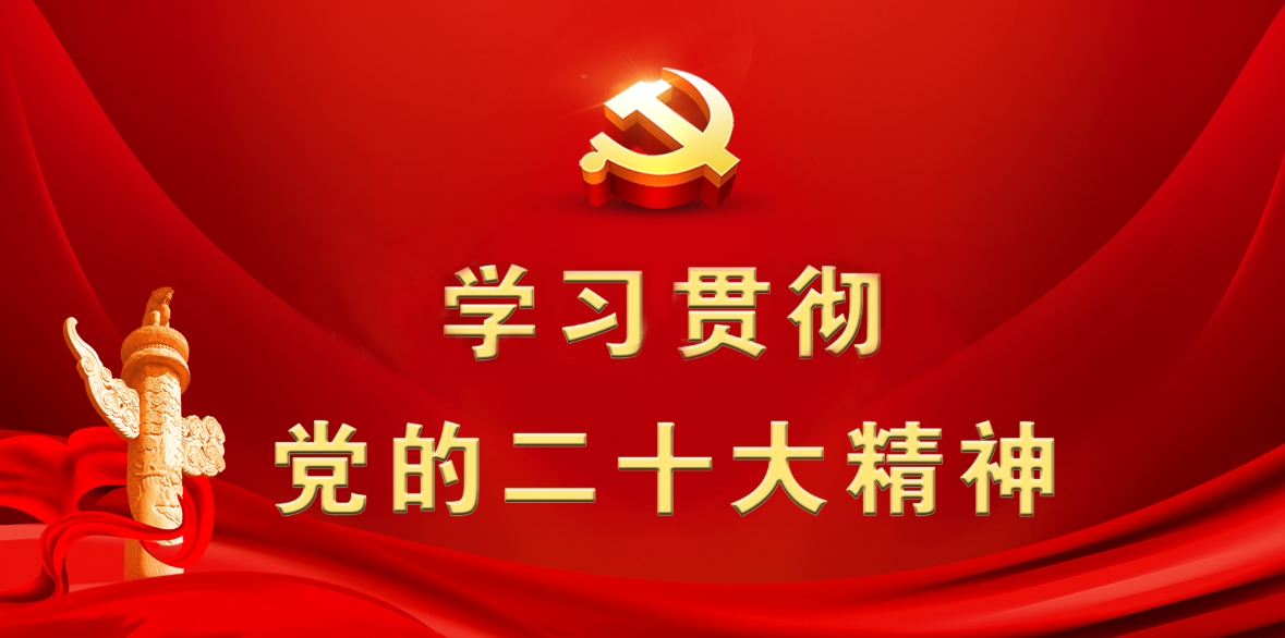 学习贯彻党的二十大精神