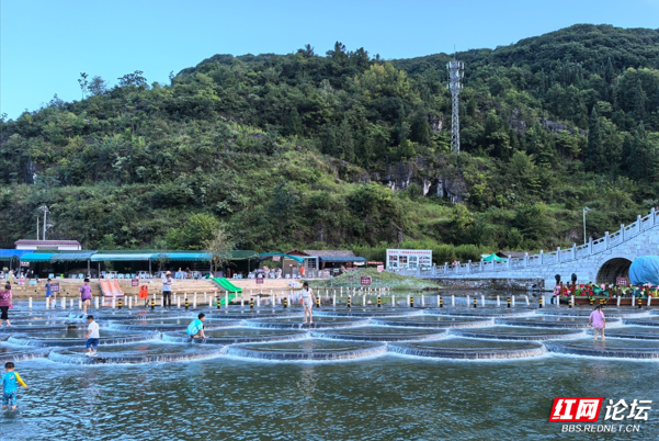 QQ20240808-175952_副本.png QQ20240808-175952_副本.png