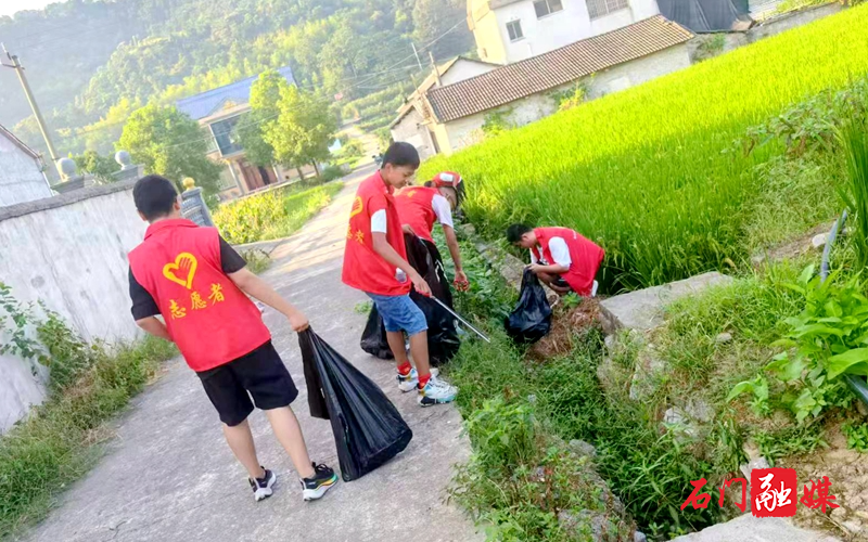 新铺镇中河铺村：用志愿行动助推家园提“质”增“颜”2.jpg