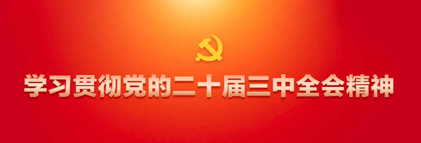 学习贯彻党的二十届三中全会精神