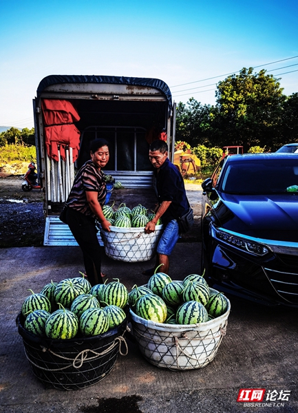 微信图片_20240810194824 (1).jpg