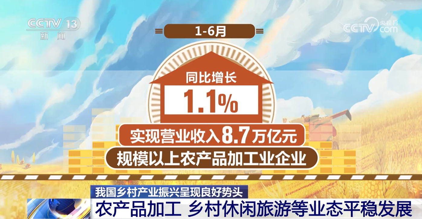 新业态、新发展、新图景 我国乡村产业振兴成果看得见