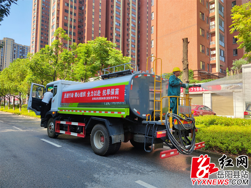 车辆浇灌沿街苗木.jpg