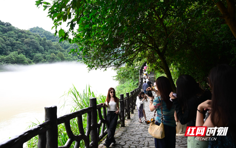 东江湖灾后旅游热  何洪海 摄 (8).jpg