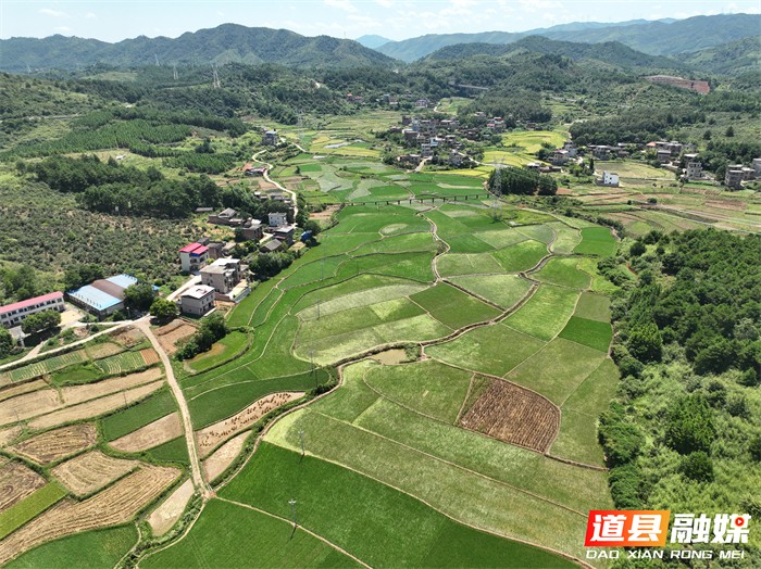 道县：涔天河灌区通水 保障辖区50余万亩农田灌溉用水