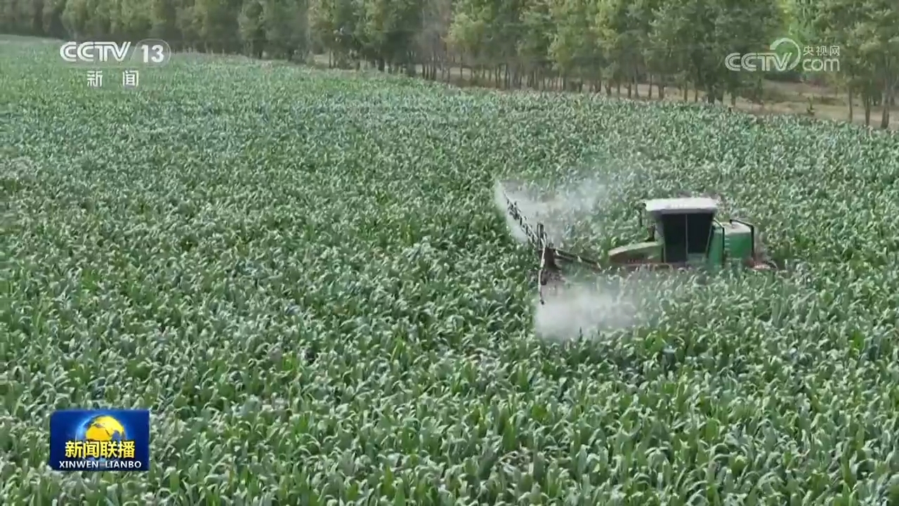 各地多举措夯实秋粮丰收基础