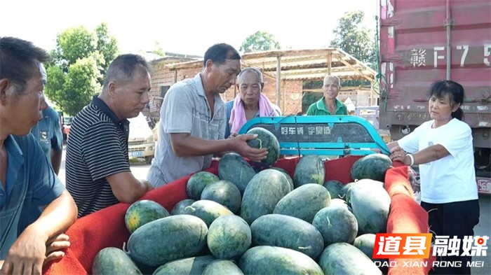 道县长兴村：开荒拓土兴产业  党员带头谋振兴 (6)_副本.jpg