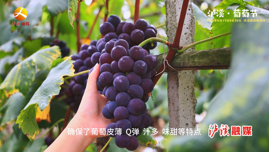 微信截图_20240815170106.jpg