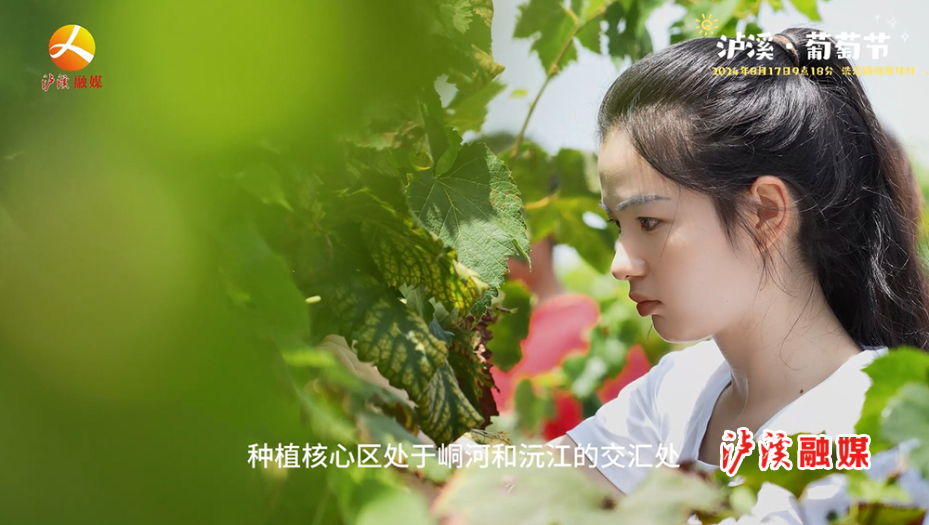 微信截图_20240815165959.jpg