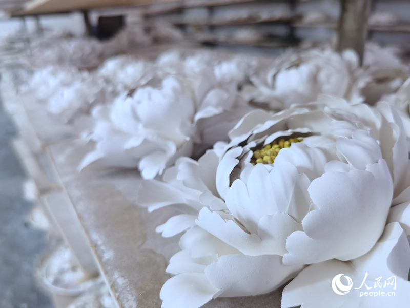 捏塑成型的牡丹瓷自然风干,等待素烧。人民网记者 尚明桢摄