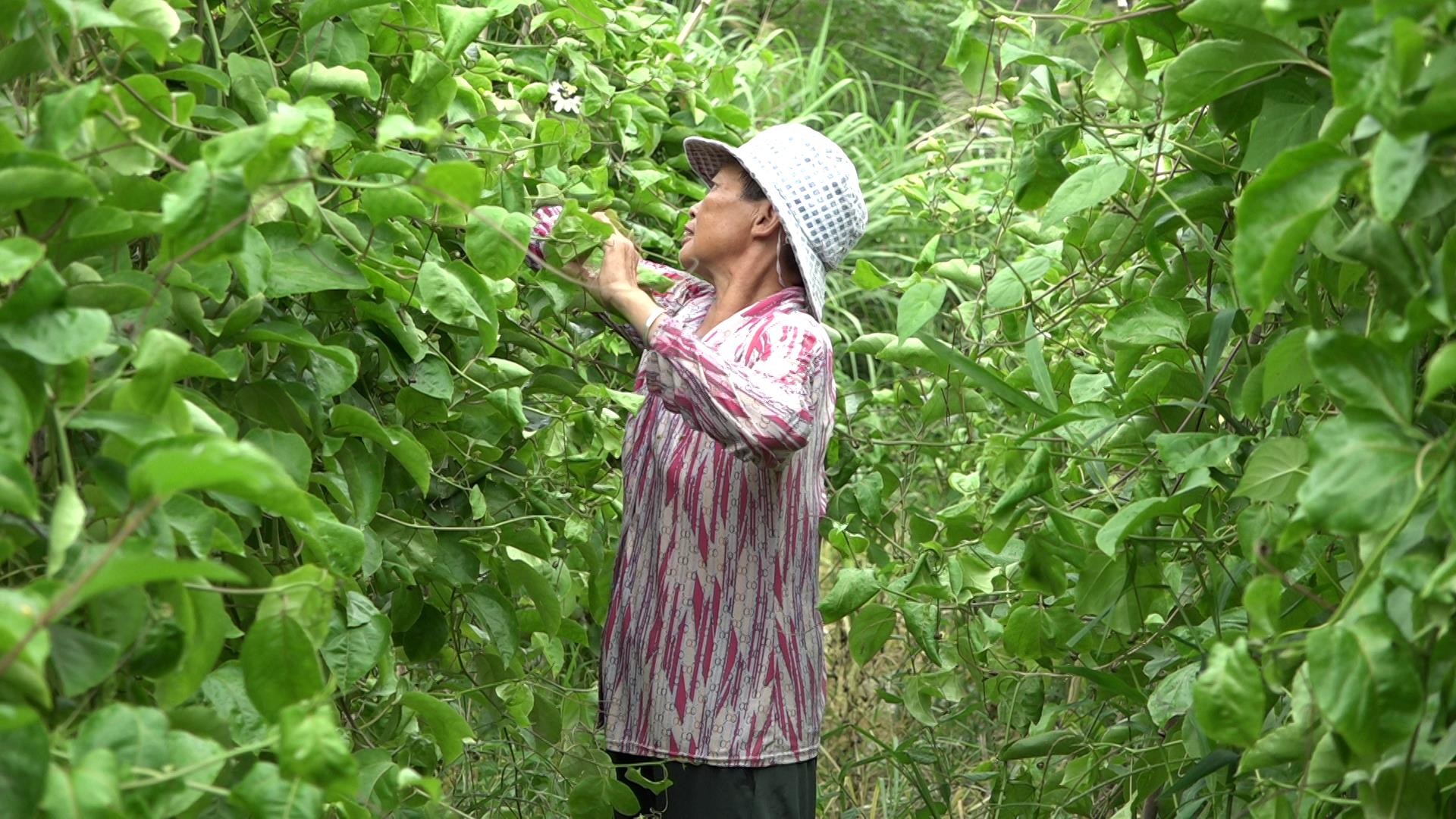 微信图片_20231101092344-.jpg