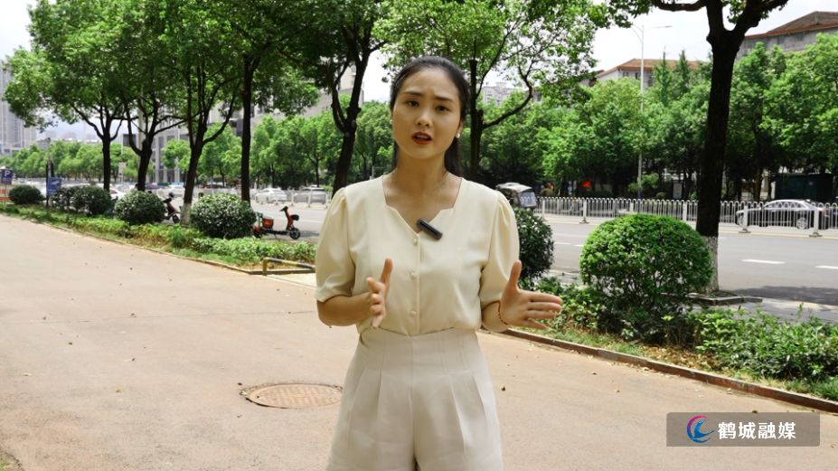 排查整治城区户外广告牌安全隐患.mp4_20240819_161026.974.png